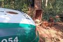 Lobo-Guará na floresta em frente ao carro do atendimento