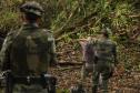 Sétima edição da Operação Mata Atlântica pretende vistoriar cerca de 1 mil hectares no Paraná.
