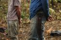 Sétima edição da Operação Mata Atlântica pretende vistoriar cerca de 1 mil hectares no Paraná.