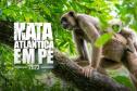 Sétima edição da Operação Mata Atlântica pretende vistoriar cerca de 1 mil hectares no Paraná.