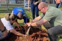 Técnicos dos viveiros plantando