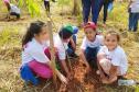 Grupo de quatro crianças plantando mudas