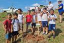 Grupo de oito crianças próximas a muda plantada