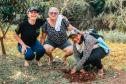 Três técnicos do IAT plantando uma muda