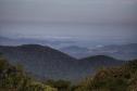 Com áreas verdes, 98 cidades do Paraná têm grande controle sobre emissões de carbono