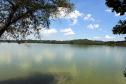 Rio atrás de árvores