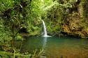 Pequena cachoeira situada em meio a vegetação paranaense