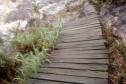 Parte da ponte que leva à cachoeira da Ponte de Pedra e ao mirante do Parque Guartelá caiu.