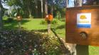Dia da Abelha: Poliniza Paraná alcança 205 meliponários em todo o Estado