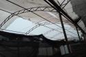 Cobertura do viveiro de Cascavel rasgada pelo tornado