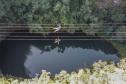 Foto de tirolesa do Parque Vila Velha