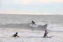 Surfistas surfando