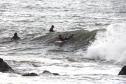 Surfistas surfando