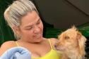Dona de pet com seus animaizinho