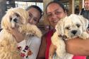 Duas donas de pet com seus animaizinhos
