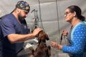 Pet recebendo cuidados de integrante do Castrapet em frente a sua dona
