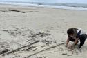 Biologa trabalhando na praia 