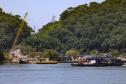 barcos no mar com vegetação típica do litoral paranaense ao fundo