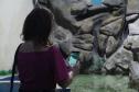 quário de Paranaguá é mais um ponto turístico para os passageiros de cruzeiros que desembarcam no litoral paranaense. O local conta com 507 animais de 93 espécies diferentes