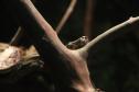 quário de Paranaguá é mais um ponto turístico para os passageiros de cruzeiros que desembarcam no litoral paranaense. O local conta com 507 animais de 93 espécies diferentes