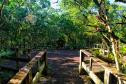 Foto de trilha do parque rio da onça
