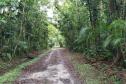 Foto de trilha do Parque do Palmito