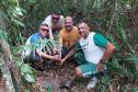 Foto de voluntários plantando mudas
