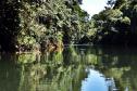 Rio em parque estadual