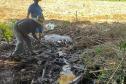 Semana da Água: IAT promove ações de conservação e conscientização ambiental