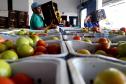 Foto de funcionário abastecendo banco de alimentos