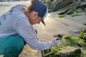 Foto de técnicos colhendo amostras de fauna incrustante