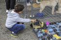 CRIANÇA ACARICIANDO CACHORRO PRESO DENTRO DE UMA JAULA
