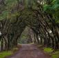 PARQUE ESTADUAL DO IAT