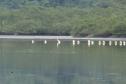 PAISAGEM