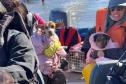 pets resgatados pelos voluntários do IAT