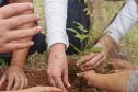 MÃOS PLANTANDO