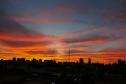 VEGETAÇÃO AO POR DO SOL