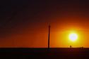 VEGETAÇÃO AO POR DO SOL