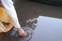 TECNICO DO IAT DEVOLVENDO PEIXE A AGUA