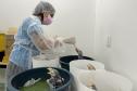VETERINARIA EM AÇÃO