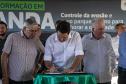 ASSINATURA DE DOCUMENTO
