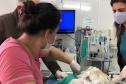 VETERINÁRIOS EM AÇÃO