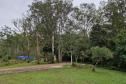 Foto de vegetação da Floresta Estadual Metropolitana