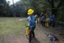 Foto de voluntários durante exercício de capacitação de brigadistas