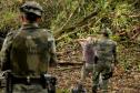POLICIA AMBIENTAL EFETUANDO DETENÇÃO