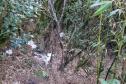 Descarte de dejetos e resíduos na natureza