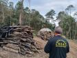 Foto de agentes do IAT em operação de fiscalização