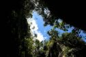 Foto do Parque Estadual do Monge