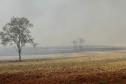 NEBLINA CAUSADA PELA FUMAÇA DO INCÊNDIO