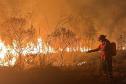 BOMBEIRO TENTANDO CONTER INCENDIO